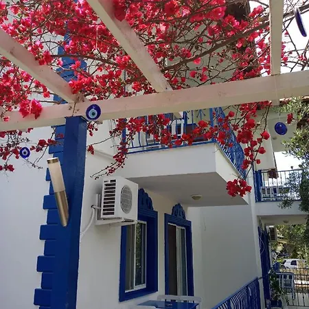 Yazici *